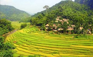 ba-thuoc