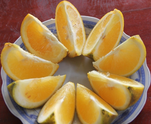 cam-xa-doai-gan-5-usd-qua-chay-hang-dip-tet-hinh-anh-1