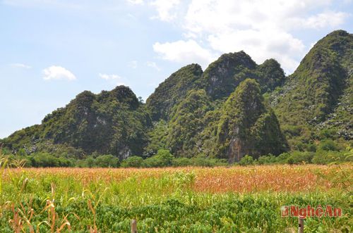 images1182711_1