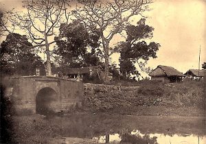 caugiay1884-85