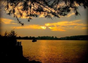 thumbnailimage-1