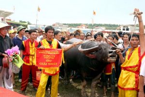 choi-trau-do-son-29-84