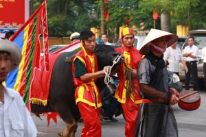 le-hoi-cho-trau-do-son-3-www-ojo-vn